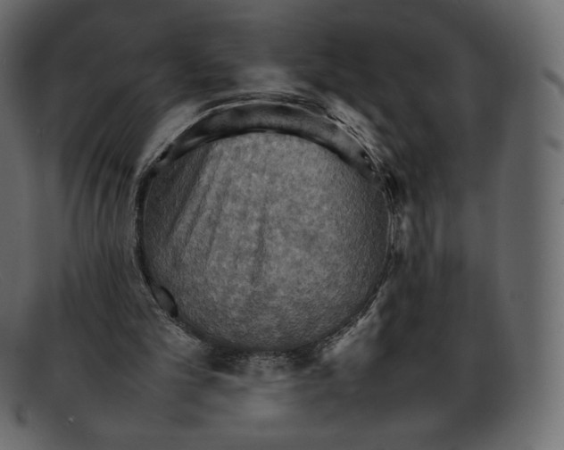 X0000092050101200710101023