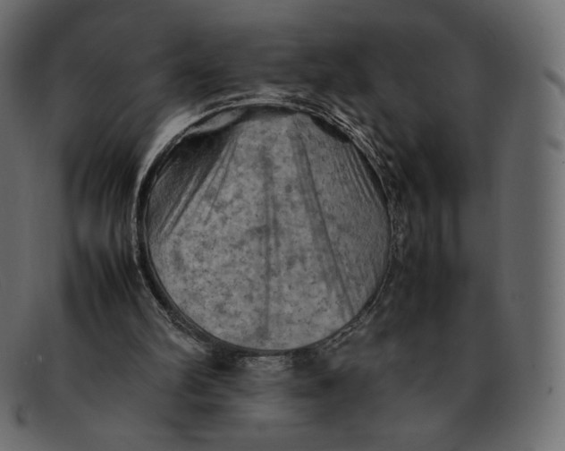 X0000092050102200710101023