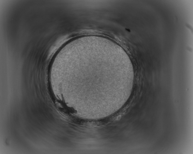 X0000092050103200710101023