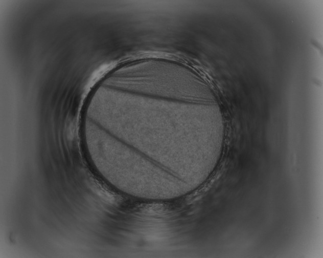 X0000092050104200710101023