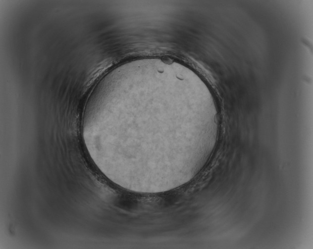 X0000092050105200710101023