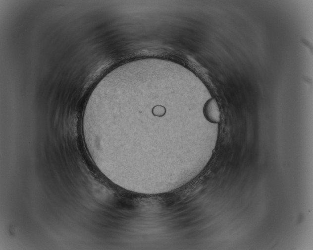 X0000092050106200710101023