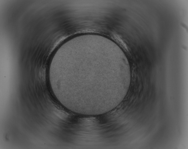 X0000092050108200710101023