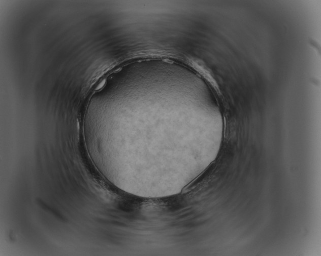 X0000092050109200710101023