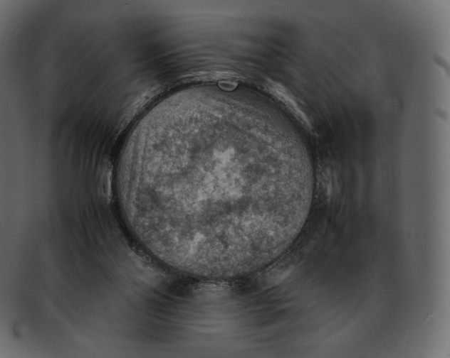 X0000092050110200710101023