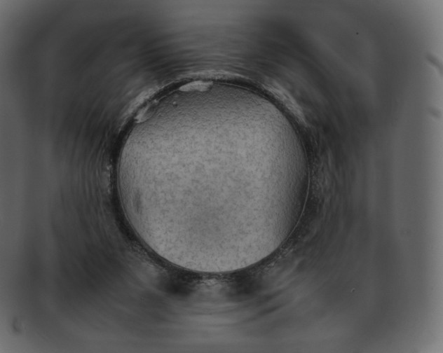 X0000092050111200710101023