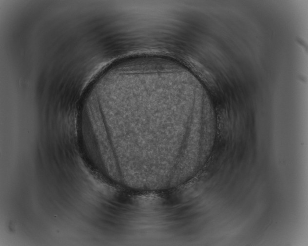 X0000092050112200710101023