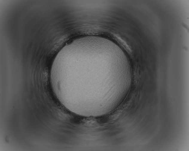 X0000092050113200710101023