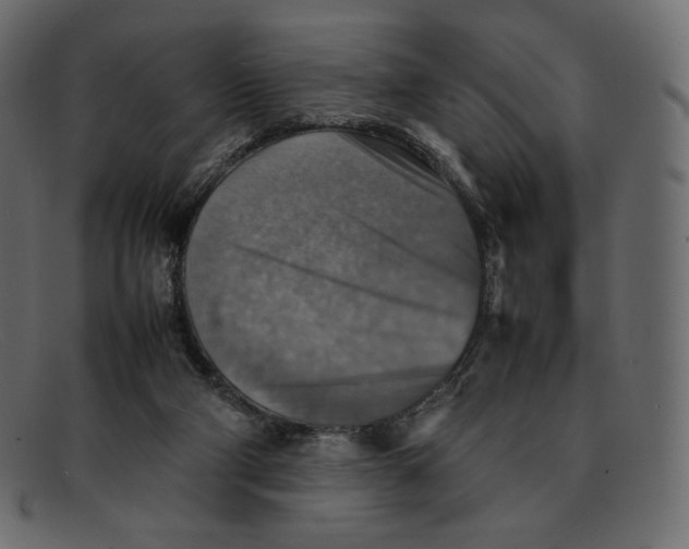 X0000092050114200710101023