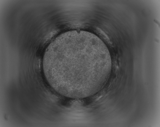 X0000092050115200710101023