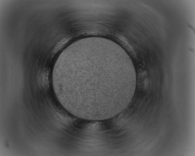 X0000092050116200710101023