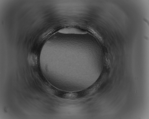 X0000092050117200710101023