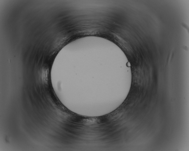 X0000092050118200710101023