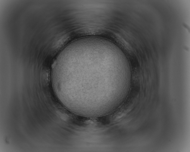 X0000092050119200710101023