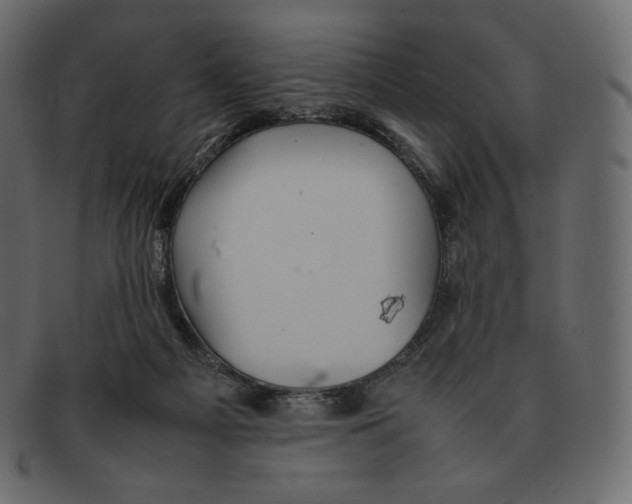 X0000092050121200710101023