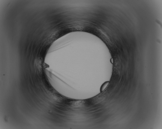 X0000092050122200710101023