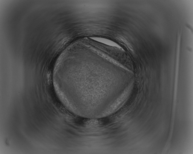 X0000092050123200710101023