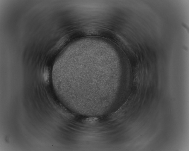 X0000092050124200710101022