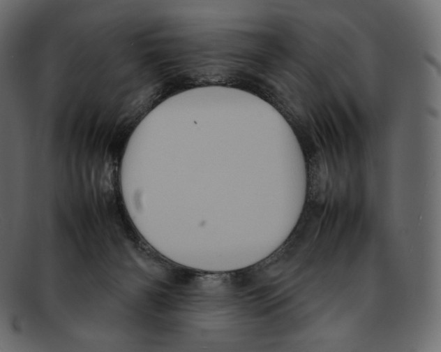 X0000092050126200710101022