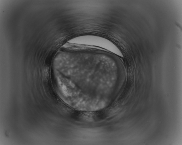 X0000092050127200710101022