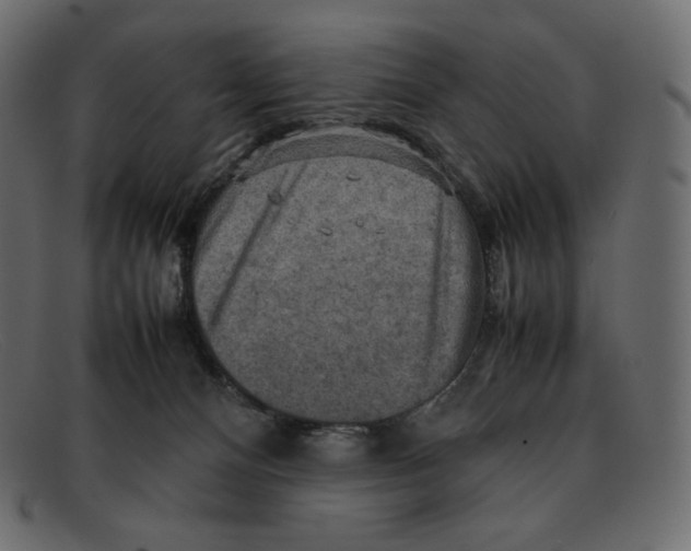 X0000092050128200710101022