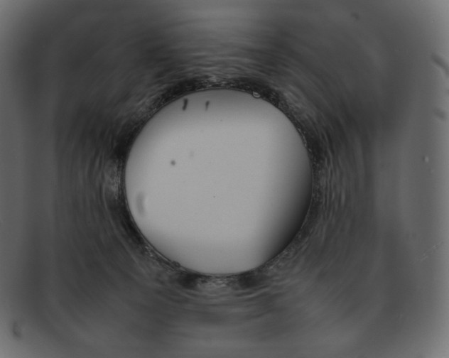 X0000092050129200710101022