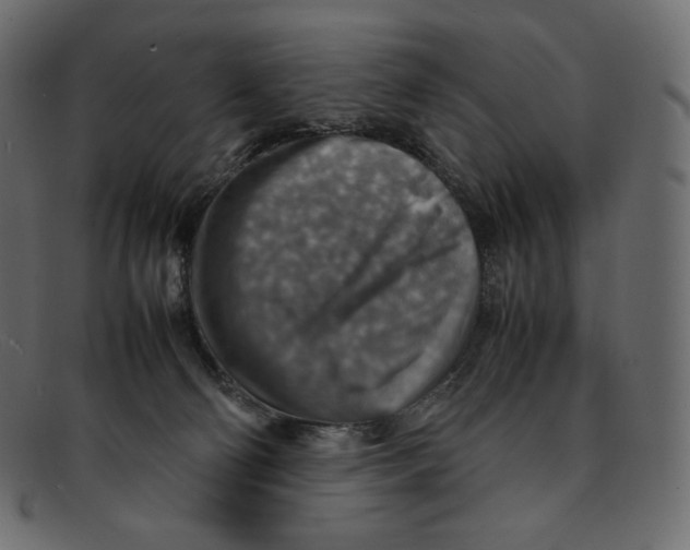 X0000092050130200710101022