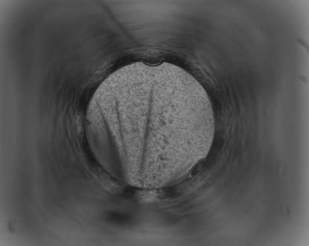 X0000092050131200710101022