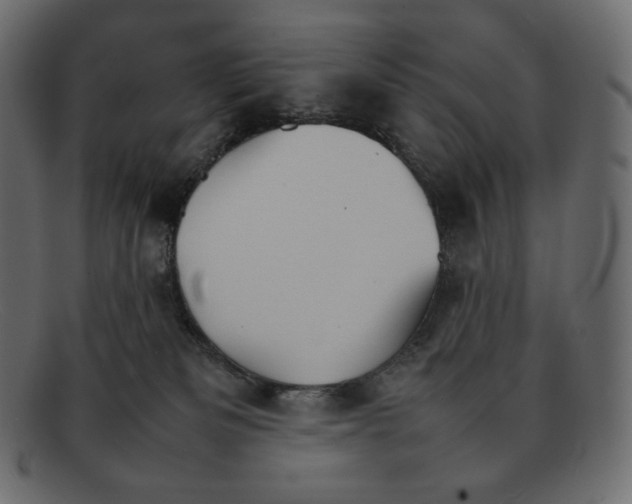 X0000092050133200710101022