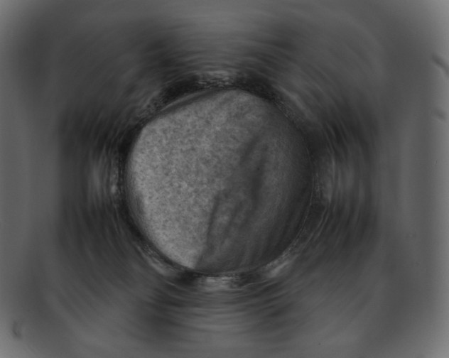 X0000092050134200710101022