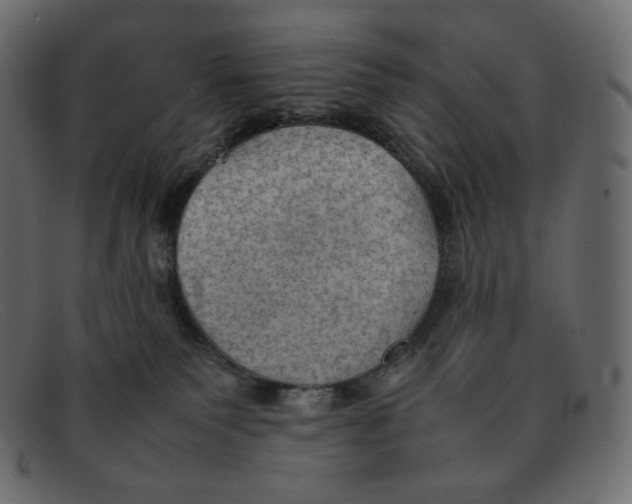 X0000092050135200710101022