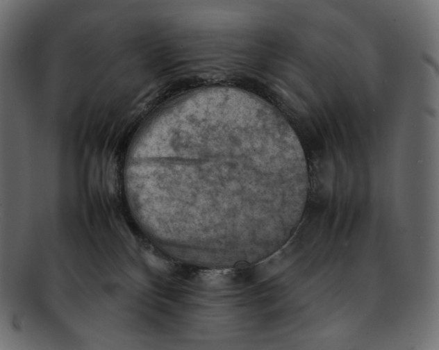 X0000092050136200710101022