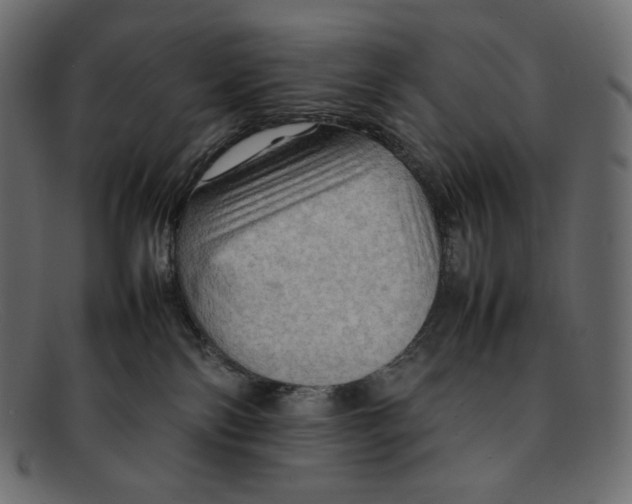 X0000092050138200710101022