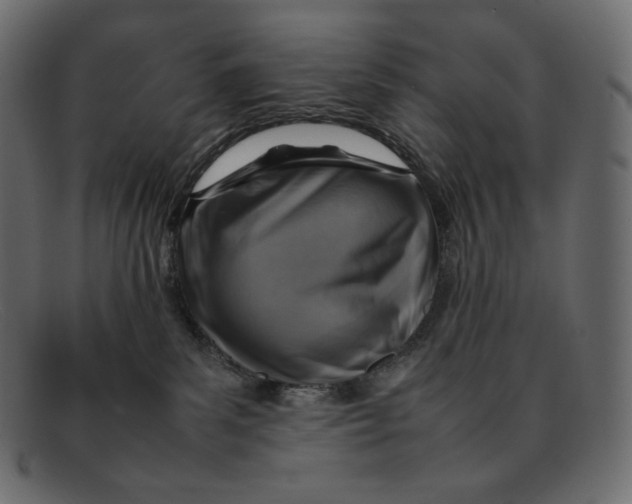 X0000092050139200710101022