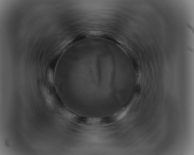 X0000092050143200710101022