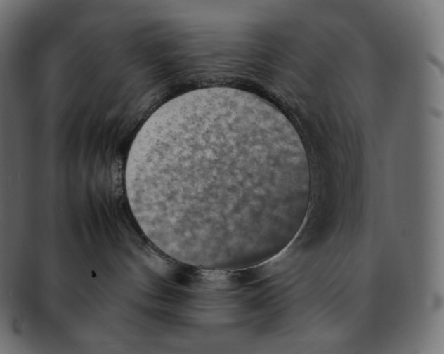 X0000092050144200710101022