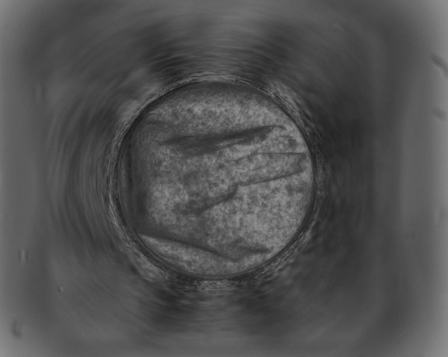 X0000092050145200710101022