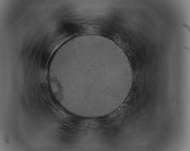 X0000092050146200710101022