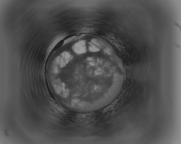 X0000092050147200710101022