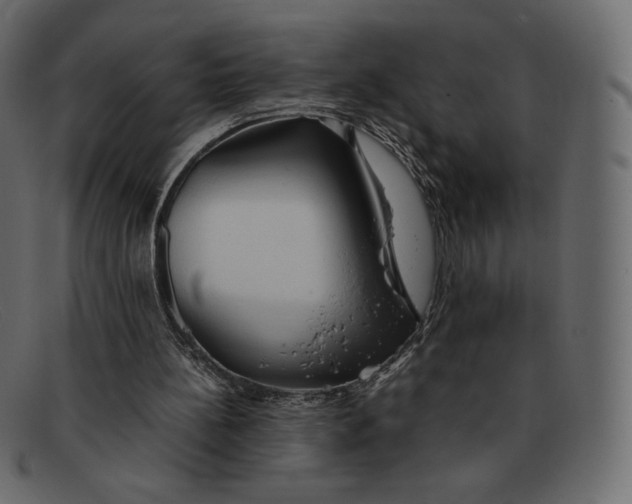 X0000092050148200710101022