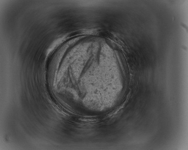 X0000092050149200710101022