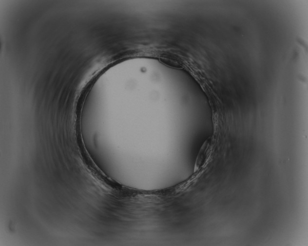 X0000092050150200710101022