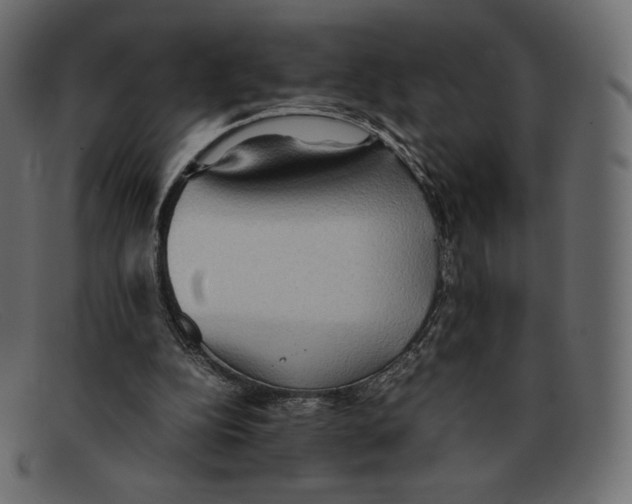 X0000092050152200710101022