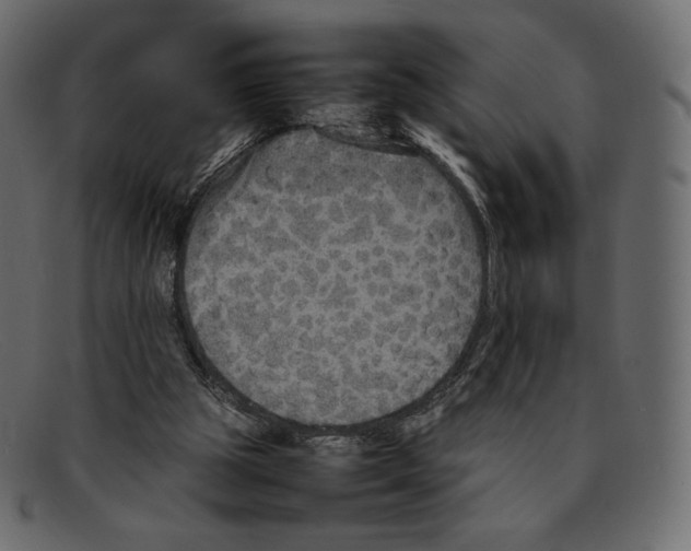 X0000092050153200710101022