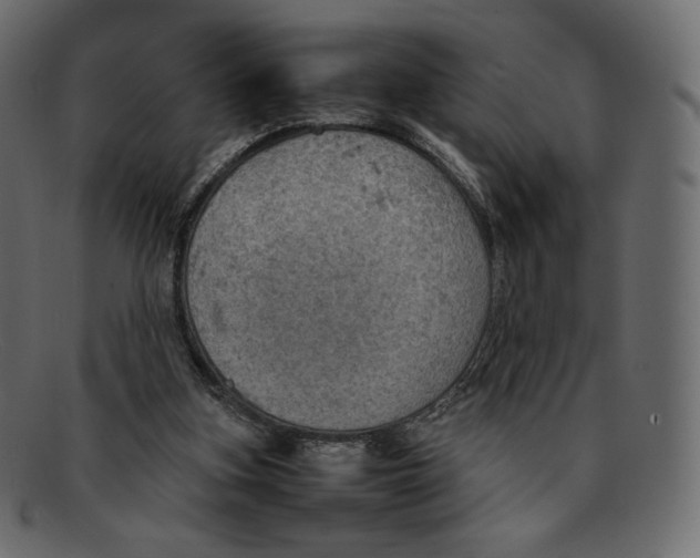 X0000092050155200710101022