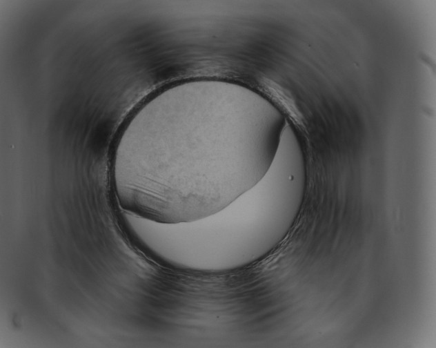 X0000092050156200710101022