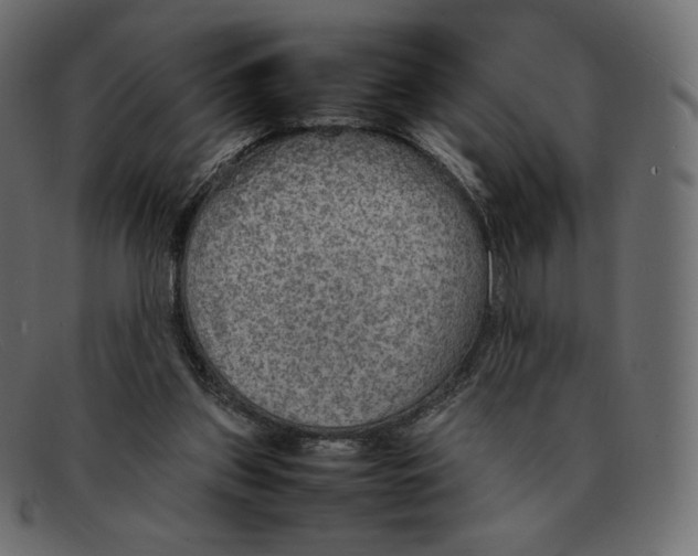 X0000092050157200710101022