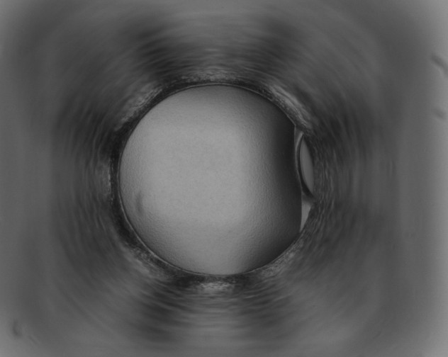 X0000092050158200710101022