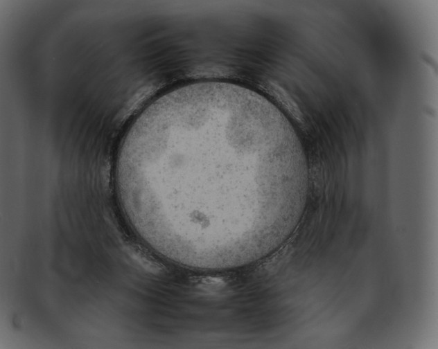 X0000092050159200710101022