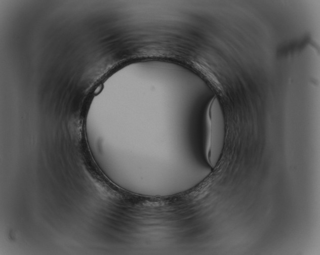 X0000092050160200710101022